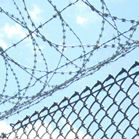 Razor Wire / Anti Scaling Barrier