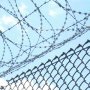 Razor Wire